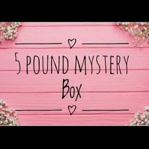 NORDSTROM Accessories 5 Pound Mystery box!